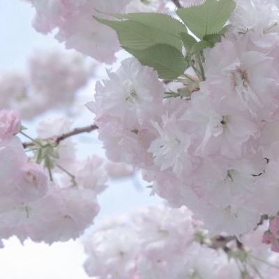 霞山FurryQQ群介绍